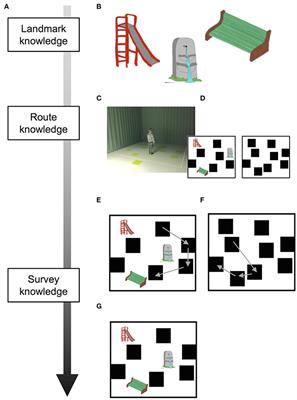 Enhancing Allocentric Spatial Recall in Pre-schoolers through Navigational Training Programme